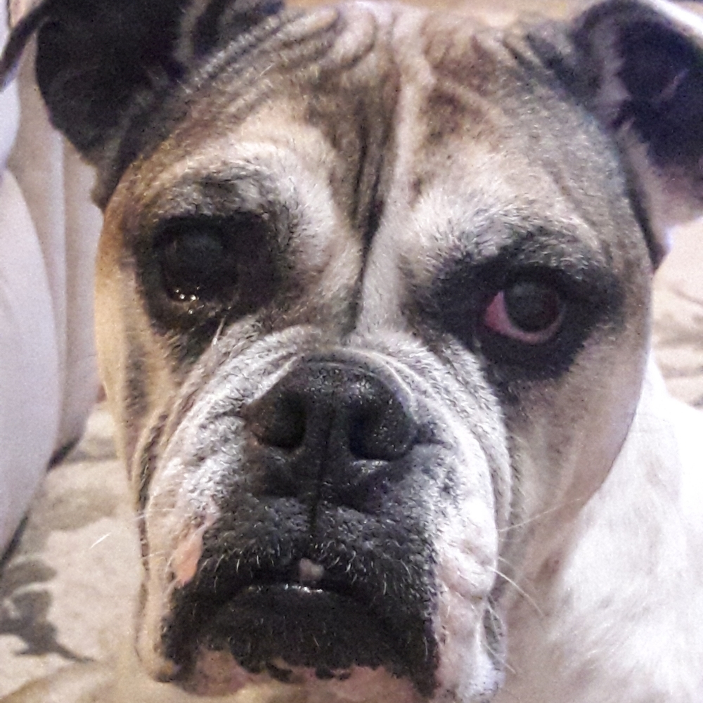 Meet your Posher, Vanessa